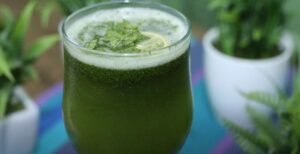 Mint-Lemonade-Recipe