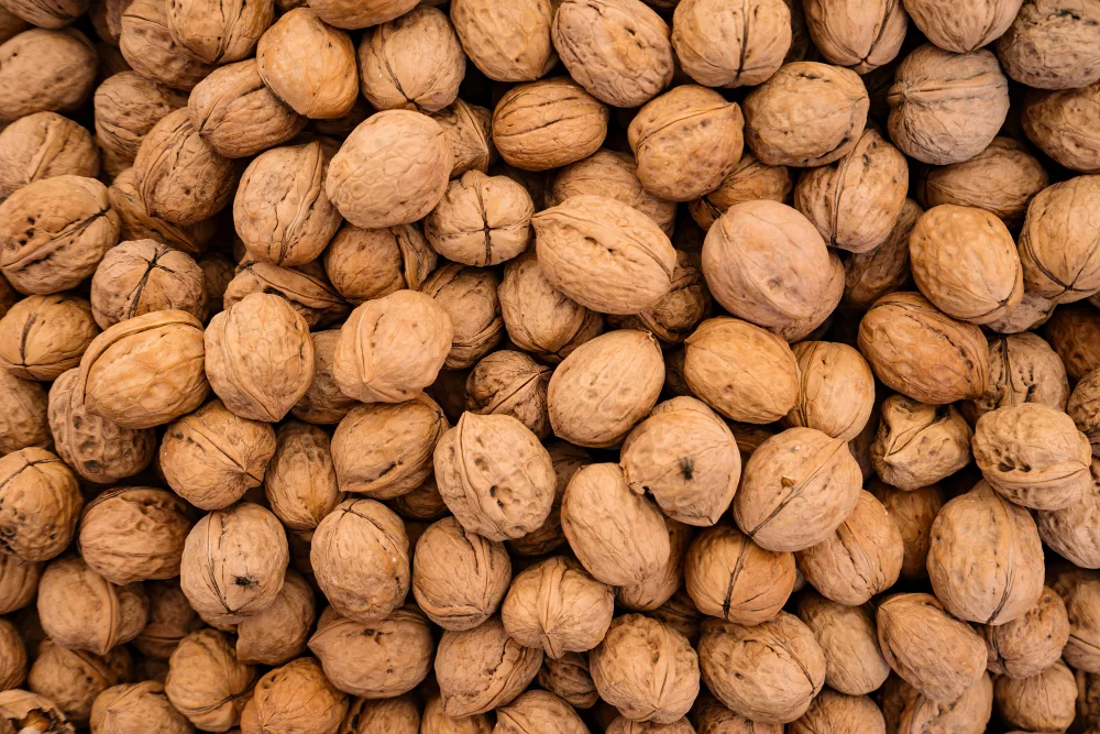 organic-walnuts