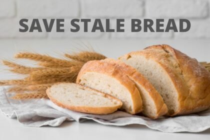 SAVE STALE BREAD