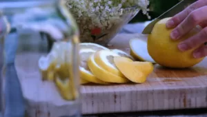 cut-the-lemons