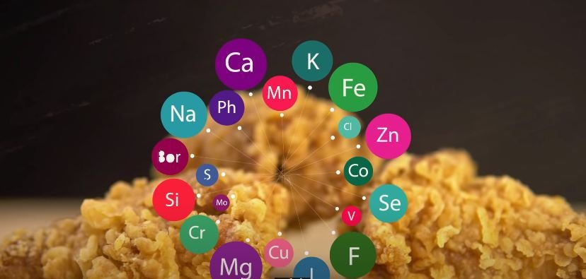 nutrients inside fried chicken