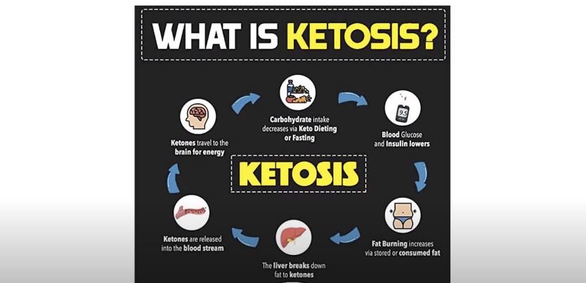 what is ketosis means