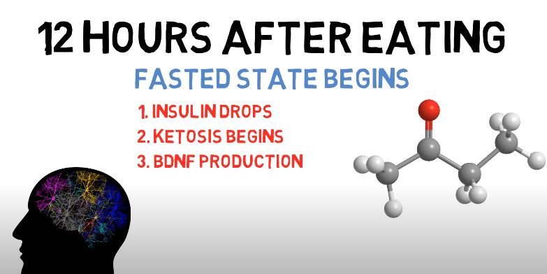 Intermittent Fasting 12-12