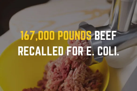 ground-beef-recalled